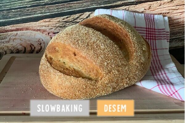  Maisbol tarwe wit desem
